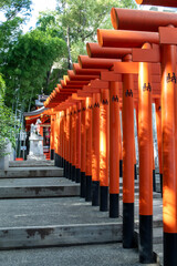 Torii gates of Ikuta Inari shrine in Kobe, Japan