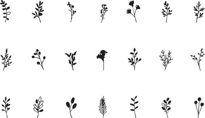 Black and white botanical vector set: floral leaves and twigs illustration eps silhouette