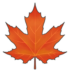 단풍잎, 가을, 낙엽, 패턴, 레드, maple, maple leaf, fall, leaf, autumn