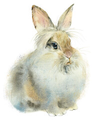 Decorative rabbit. Fluffy bunny. Watercolor hand drawn illustration