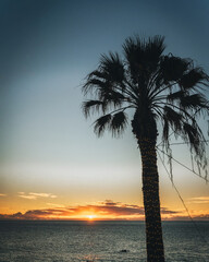 Obraz premium Sunset in Câmara de Lobos, Madeira Island