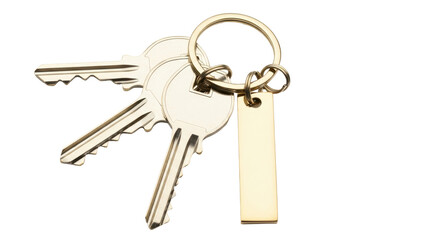 Isolated shiny metal keys and a blank tag attached to a keyring, ready for identification