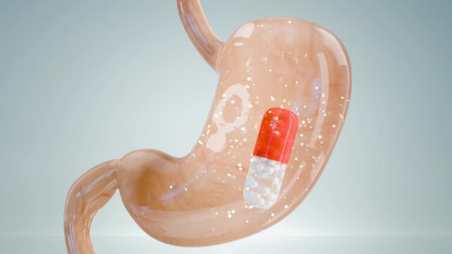 Capsule pill inside human stomach showing digestion process, medicine treatment, pharmaceutical therapy, healthcare, drug absorption, medical cure, stomach medication, digestive system, 3d render