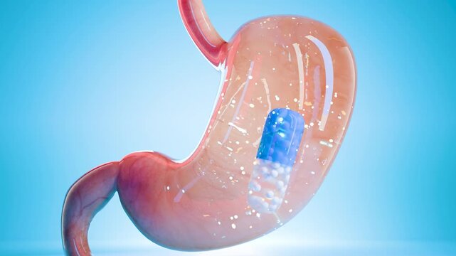 Capsule pill inside human stomach showing digestion process, medicine treatment, pharmaceutical therapy, healthcare, drug absorption, medical cure, stomach medication, digestive system, 3d render