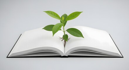 A vibrant green plant sprouts from the pages of an open book.