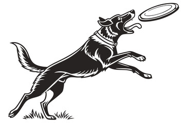 Athletic Dog Leaping to Catch Flying Disc.