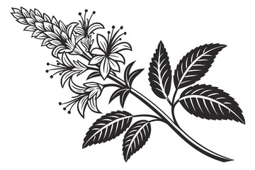 Black and White Floral Branch Illustration.
