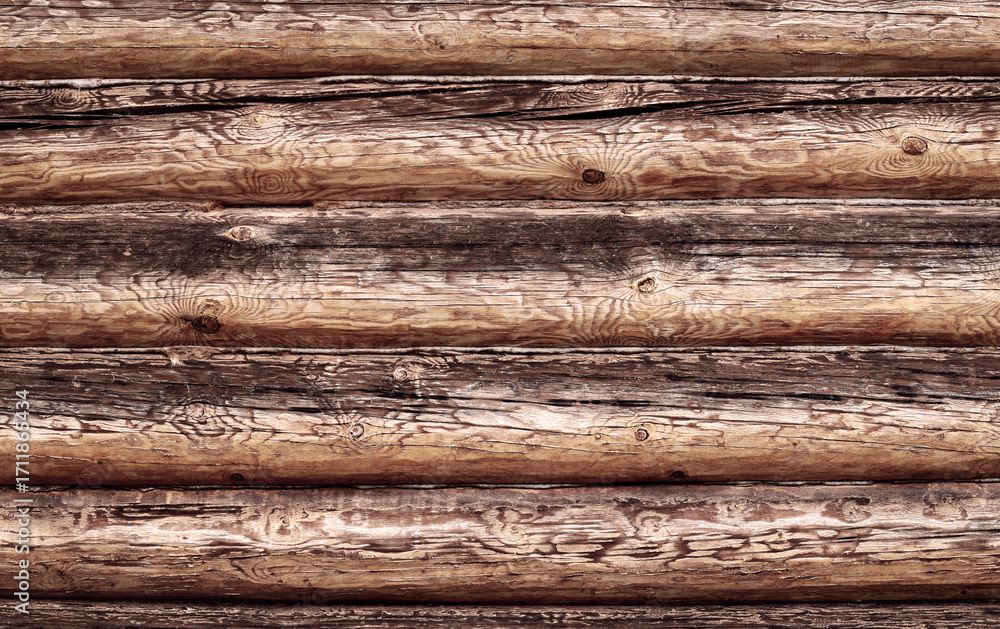 Poster abstract wooden background from logs. a wall made of old logs with natural patterns on the trunks. t