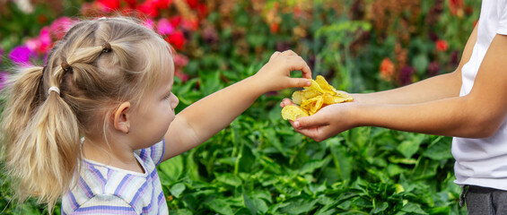 Obraz premium Boy and girl eating chips from a pack. Kid.