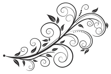Fototapeta premium Elegant Black Flourish Swirls with Leaves.