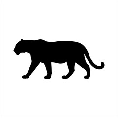 Black panther silhouette walking