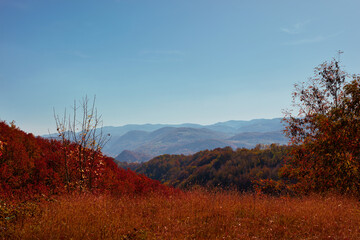 Autumn colored trees and countryside landscape scenery.