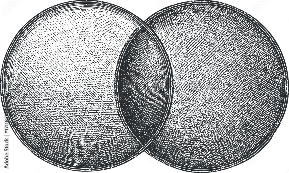 Poster an intricate vintage illustration of two overlapping circles showcasing geometry and abstract design