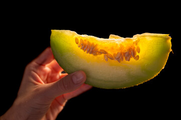 Slice of Yellow Melon on Dark Background