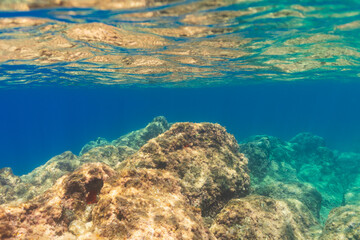 Serene underwater seascape with a rocky bottom in crystal clear turquoise water, with sunlight shimmering on the surface.