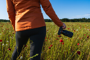 Rear view of a female photographer with a camera walking through a beautiful summer field of red...