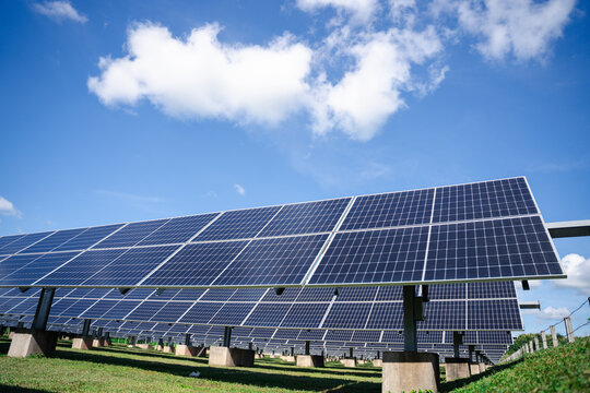 High-efficiency ground-mounted solar panel system built for large-scale outdoor energy generation, offering durable performance for farms, fields, and industrial installations