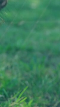 Animation of data processing and globe over horse