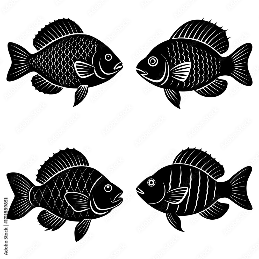 Poster Four black and white fish illustrations with different scale patterns arranged in a square shape