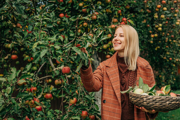 young European woman in a vintage brown wool blazer stands on a wooden ladder, carefully selecting and picking a ripe apple