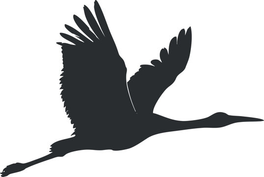 A graceful silhouette of a bird in flight capturing the essence of freedom and nature.