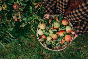 young European woman in a vintage brown wool blazer stands by an apple tree
