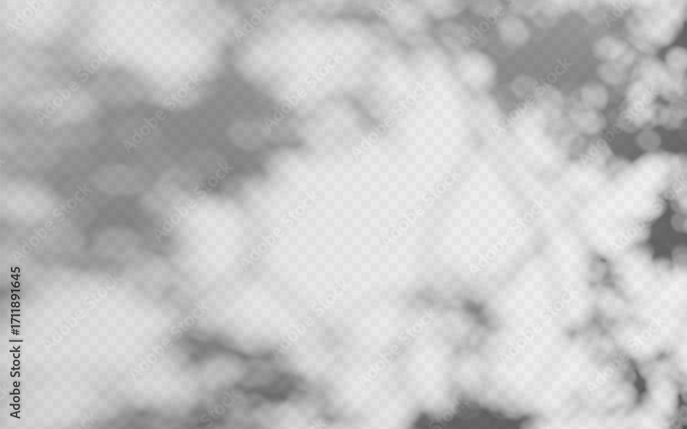 Poster abstract shadow overlay from foliage on a transparent background.