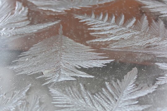 Frosted glass with intricate ice patterns