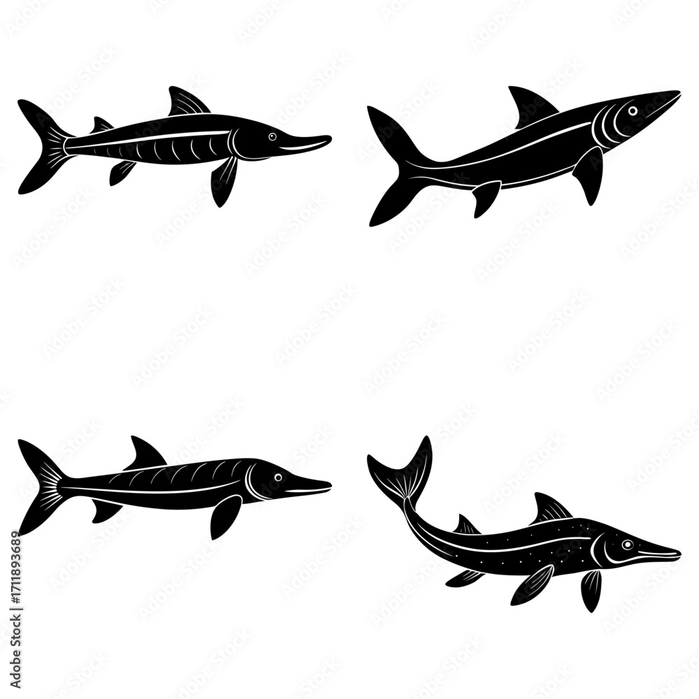 Poster Illustration showing four black paddlefish in different positions on a white background design element