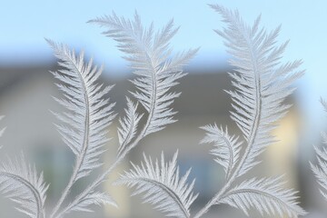 Naklejka premium Frosty fern-like patterns on a window, blurred houses in the background