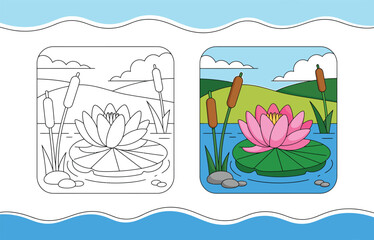 Water Lily Flower Coloring Page and Colored Pond Scene Vector Illustration