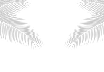 Minimal palm leaf border tropical botanical background design © Muhammad