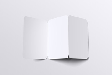 Trifold Brochure Blank