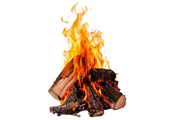 Burning fire logs isolated on a transparent or white background