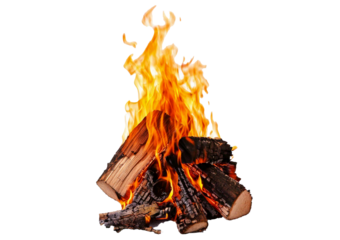 Burning fire logs isolated on a transparent or white background