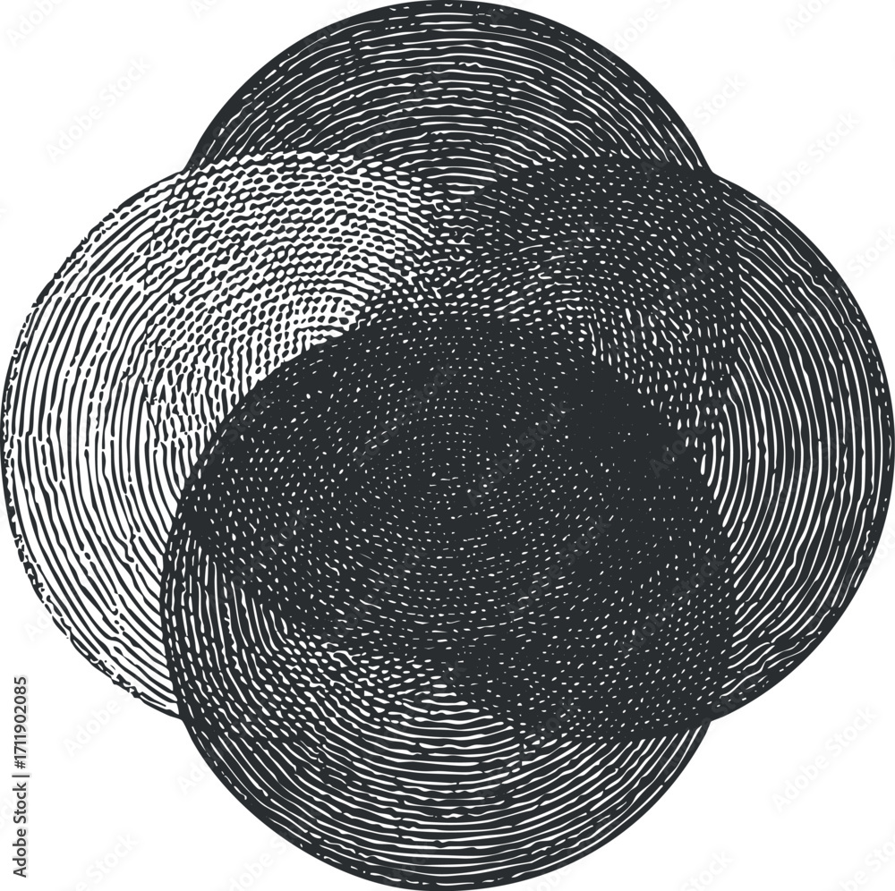 Fototapete an abstract monochrome design featuring overlapping circles with intricate line patterns.