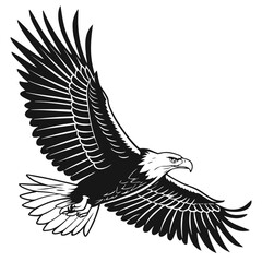 eagle vector illustration