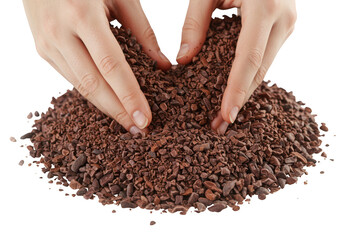Fototapeta premium Hands sifting through a pile of roasted coffee beans on a dark surface isolated on transparent background