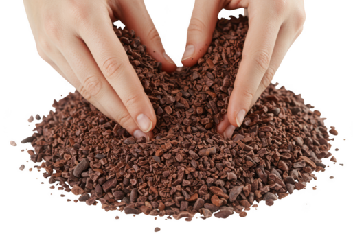 Hands sifting through a pile of roasted coffee beans on a dark surface isolated on transparent background