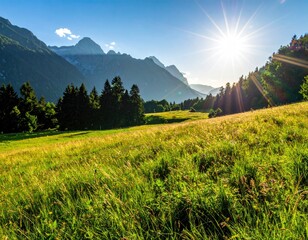 Sunlit alpine meadow, towering peaks