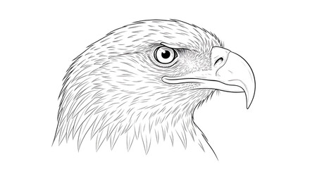 Detailed Graphite Pencil Sketch of Eagle Head on White Background