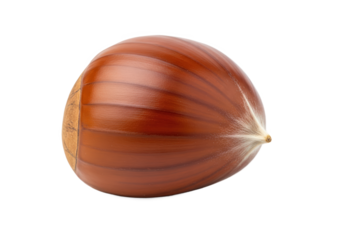 Close-up view of a shiny chestnut showcasing its rich brown color and smooth surface against a plain background
