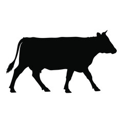 Silhouette of a black cow walking side profile agricultural livestock farm animal silhouette