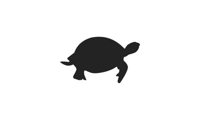 Silhouette of a turtle, a reptile with a protective shell, isolated on a white background.