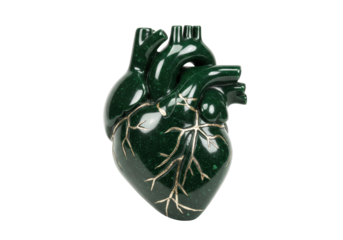 Isolated anatomical heart sculpture, dark green artificial jade with golden veins detail