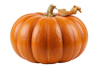 Isolated ripe pumpkin with stem and leaf, autumnal harvest, traditional seasonal food