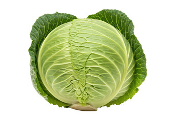 Obraz premium Fresh, vibrant green cabbage with detailed leaf textures, set against a plain background for culinary use