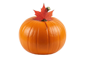 Isolated Thanksgiving pumpkin with autumn leaf, seasonal harvest, holiday decoration