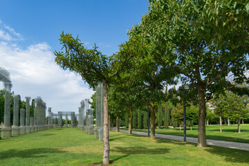 Siberian larch Larix Sibirica shaped like palm tree, lush green trees lining path, with translucent, modern column structures creating in city park Krasnodar. Public landscape Galitsky park