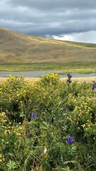 Lake in the Altai Mountains